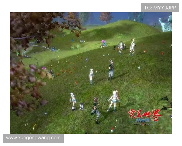 开云中国站为玩家提供的优质游戏内容推荐与个性化定制服务详解